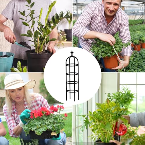 Enrejado de plantas trepadoras para crear paredes verdes de hiedra y rosas en su terraza 5