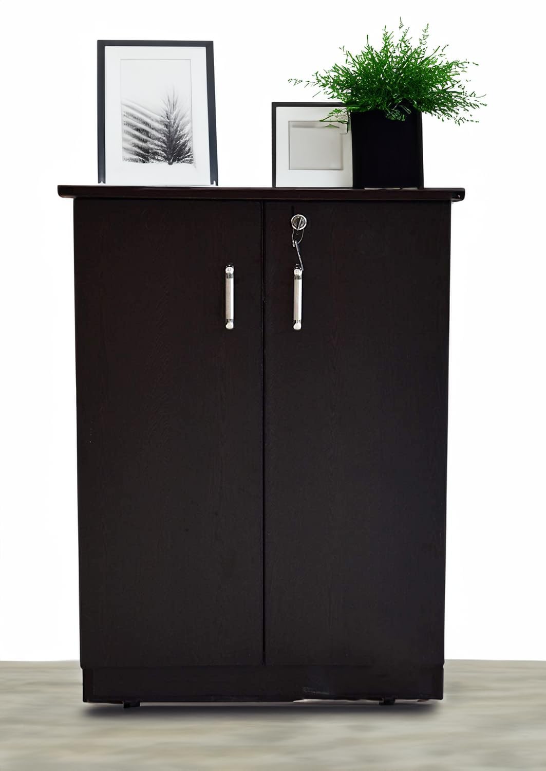 Caspian Engineered Wood Double Door Wooden Shoe Rack Cum Cabinet (Rainforest Dark) | Pre-Assembled Horizontal Furniture | Storage Organizer for Indoor/Outdoor Use | 4 Compartments with Door Lock-image-15