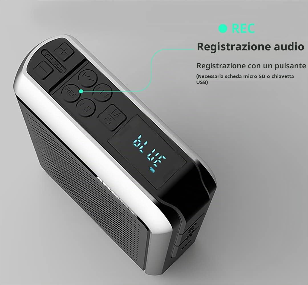 Amplificatore Vocale Senza Fili 30W 2.4G, Sistema PA (4000 mAh) Altoparlante Bluetooth con Microfono Auricolare Wireless per Insegnanti Allenatori Guida Turistica Aula