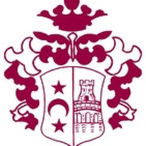 pleno ordinario (1-9-2026)