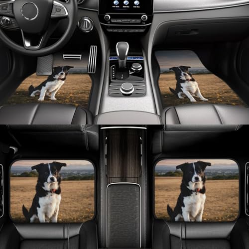 Alfombrillas de coche antideslizantes de perros para evitar suciedad en furgonetas 6