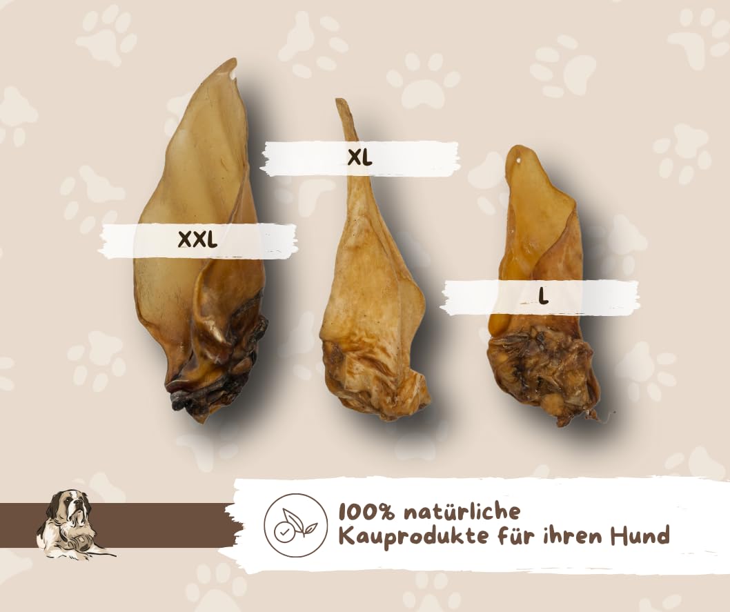 Warnick Bovins Oreilles Avec Coquillage XXL Aliments Pour Animaux