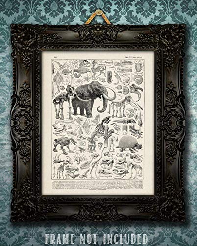Paleontology - 11X14 Unframed Art Print - Makes A Great Gift Under $15 For Dinosaur Lovers And Child's Room Decor #TOP20