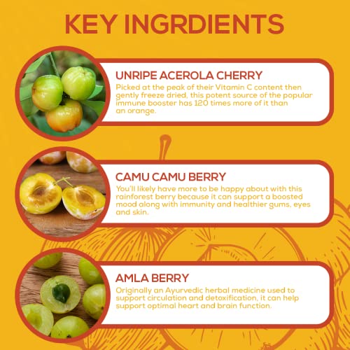 Paleovalley PV-ECC Essential C Complex - Vitamin C Supplement thumb #5