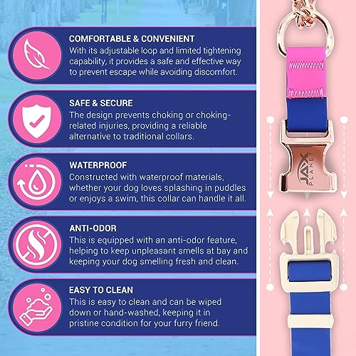Jelly No Pull No Slip Waterproof Martingale Collar for Dogs, Blue Rose by JAX PLANET - Used condition - Image 3