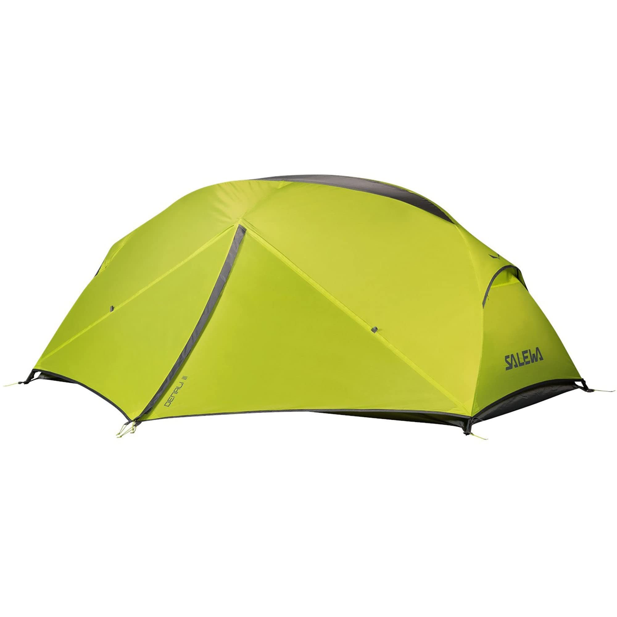 Salewa Denali III namiot, kaktus/szary, uniseks