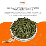 GARNELEN4YOU® Mineral Sticks - mineralienreiches Hauptfutter für Garnelen, Krebse und Schnecken - Premium Garnelenfutter mit erhöhtem Mineralstoffanteil - Made in Germany (30 g)
