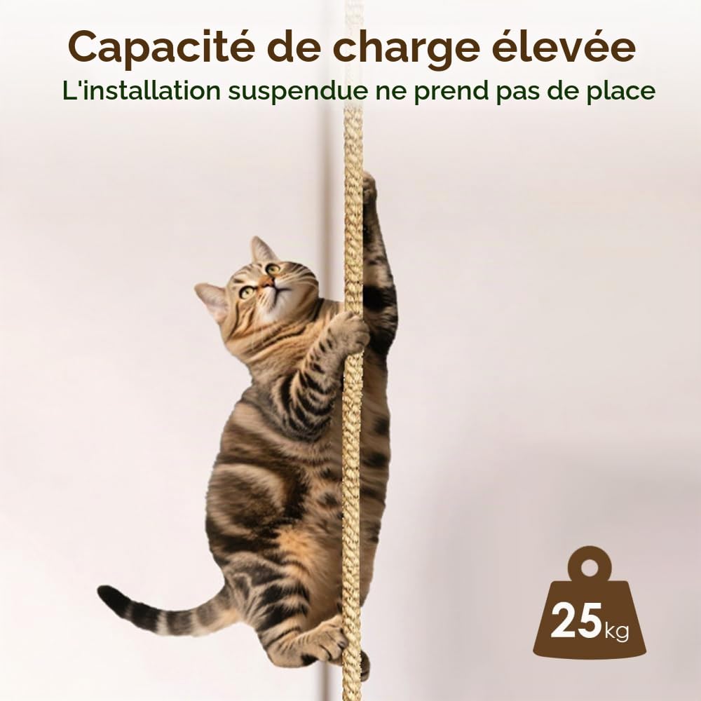 Corde à Grimper pour Chat, Jouet Grimpante pour Chaton, Poteau en Jute de 3 M (9,8 Pi) avec Crochet et 3 Vis de Fixation pour Plafond ou Mur