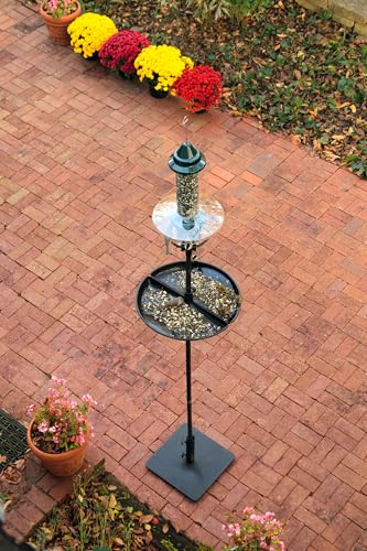 Squirrel Buster Plus Podium, Ultimate Squirrel-Proof Bird Feeding Station, Includes Plus Bird Feeder, Weather Guard, Pole Adaptor, BirdsUP Single Pole and Seed Catcher Tray