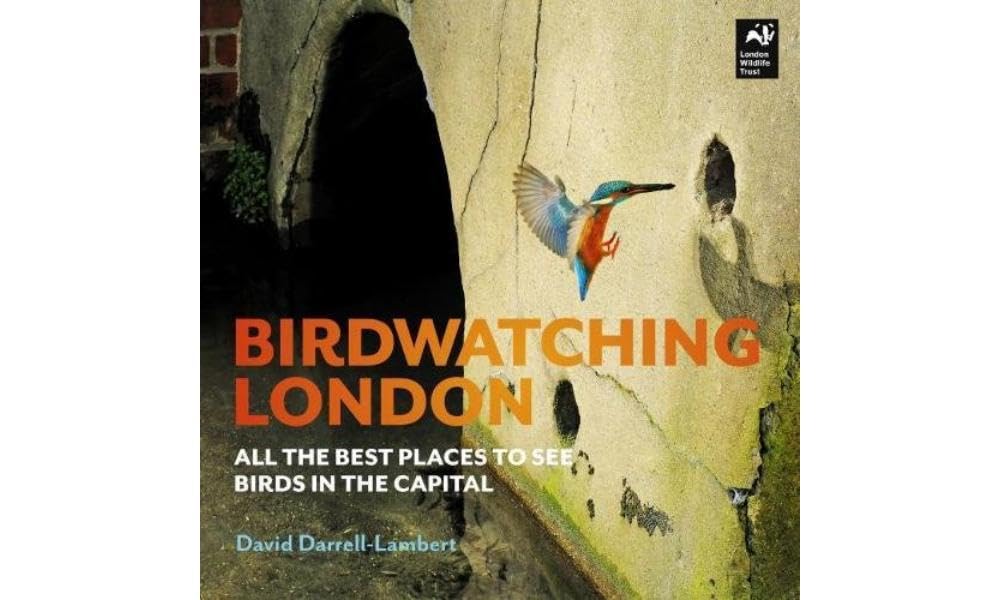Birdwatching London