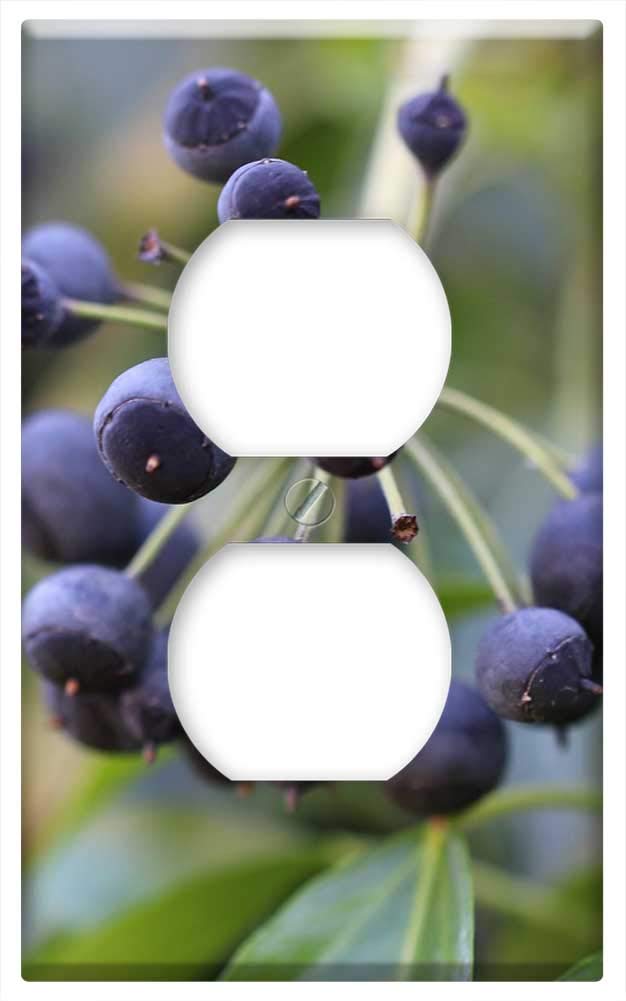 Switch Plate Outlet Cover - Ivy Fruit Blue Violet Berries Toxic Smart Twig