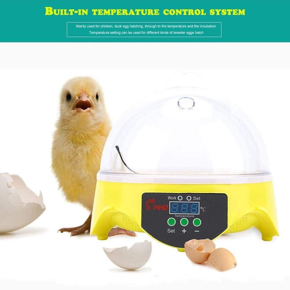 Incubatrice per 7 Uova, incubatrici per Uova da cova, Mini incubatrice Automatica per polli, Anatre e oche, incubatrice per Uova con girauova Automatico dal Design visibile.