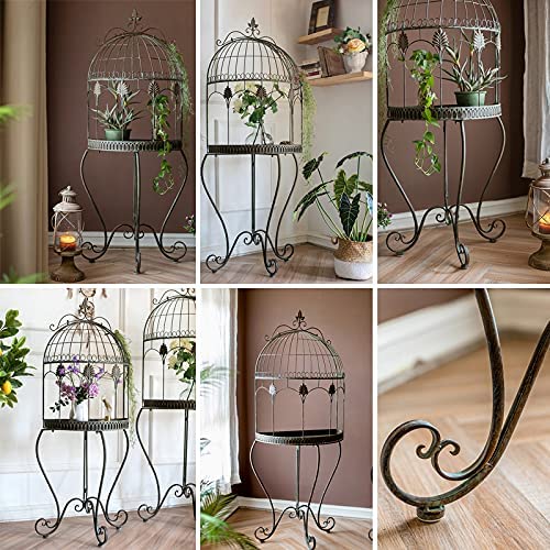 Amazon.co.jp: アイアンバードケージプランター、ハーフラウンド