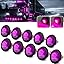 Purple, 10Pcs