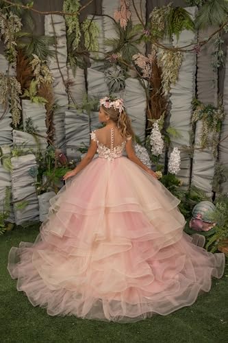 Clixsy Flower Girl Dress Lace Appliques - Tulle Princess Pageant Dress for Girls A-line Prom Ball Gowns2