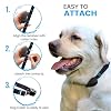 Replacement Strap for E-Collars Compatible with PetSafe, Invisible Fence, In Ground Fence Systems Medium Size, Patriot Design