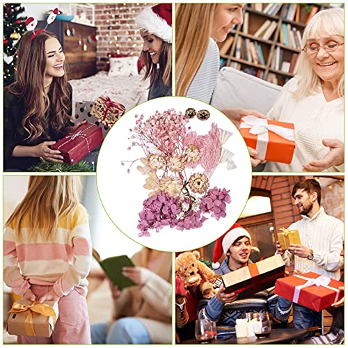 Flores prensadas naturais e secas de verdade para resina, flores secas naturais, kit de ervas a gran