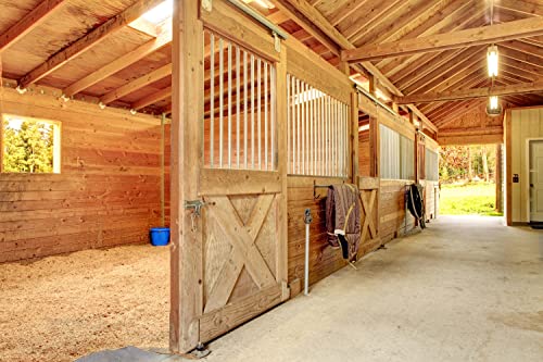 HRB Premium Leinstroh 15 Kg Horse, ca. 150 Liter Volumen, Leinenstroh extrem staubarm, Hanf Einstreu Ersatz sehr saugfähiges Flachs, ideal als Einstreu