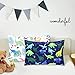 Toddler Pillowcase, Kids Pillow Cover for Sleeping, 2 Pack Dinosaur Set Fit Pillow Sized 13
