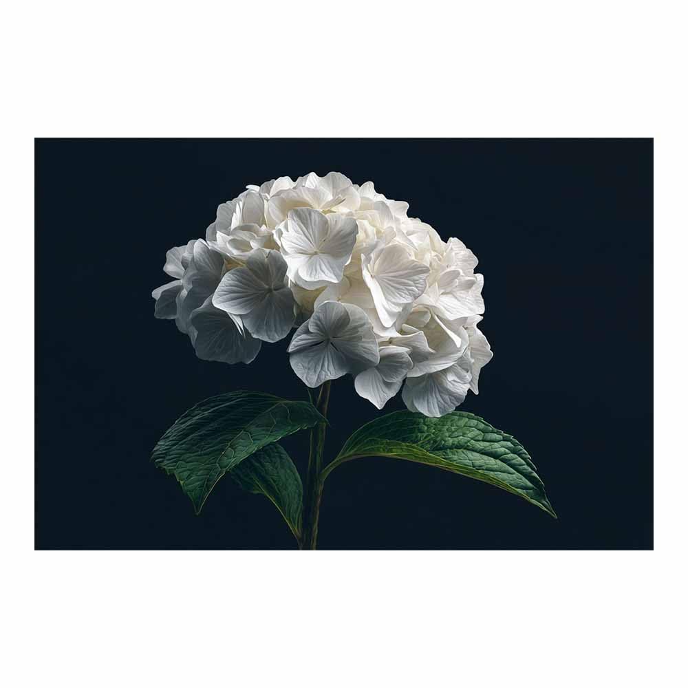 ZAMAEIU Landscape Wall Art Clustered petals Artwork for Walls, Canvas Prints Paintings Room Decor, for Bedroom Kitchen Office Fireplace Wall Decor(white)-60x90cm Unframed