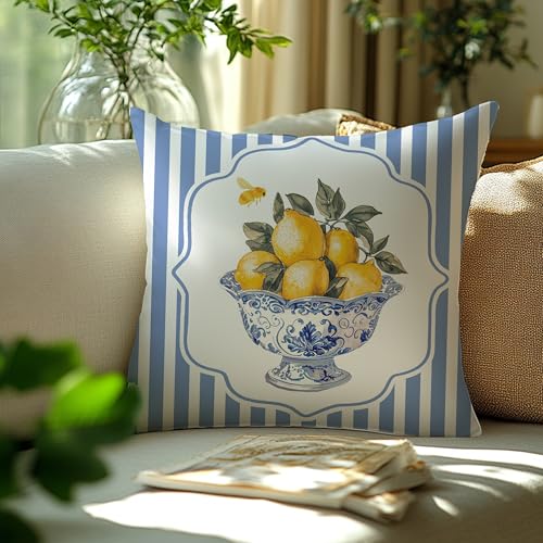 Image of Chinoiserie Lemon Summer Pillow Cover 18x18,French Country Lemon Home Decor,Farmhouse Blue and White Striped Fruit Botanical Decorative Lumber Throw Pillow Cover for Home Bedroom Living Room