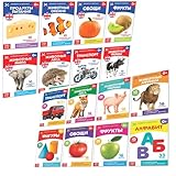 Russian & English Flashcard Bundle: 16 Doman Method Books for Bilingual Learning - Flashcard Book Set for Learning Set - Knigi na Russkom