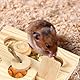 Encuryna 6 in 1 Holzspielzeug zur Futtersuche - Interaktives Leckerli-Spielzeug für Hamster, Meerschweinchen, Häschen, Chinchilla und Rennmäuse