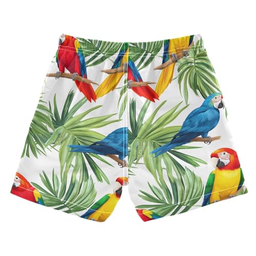 Colorful Parrot Boys Swim Trunks Toddler Shorts Swimwear Boardshorts2