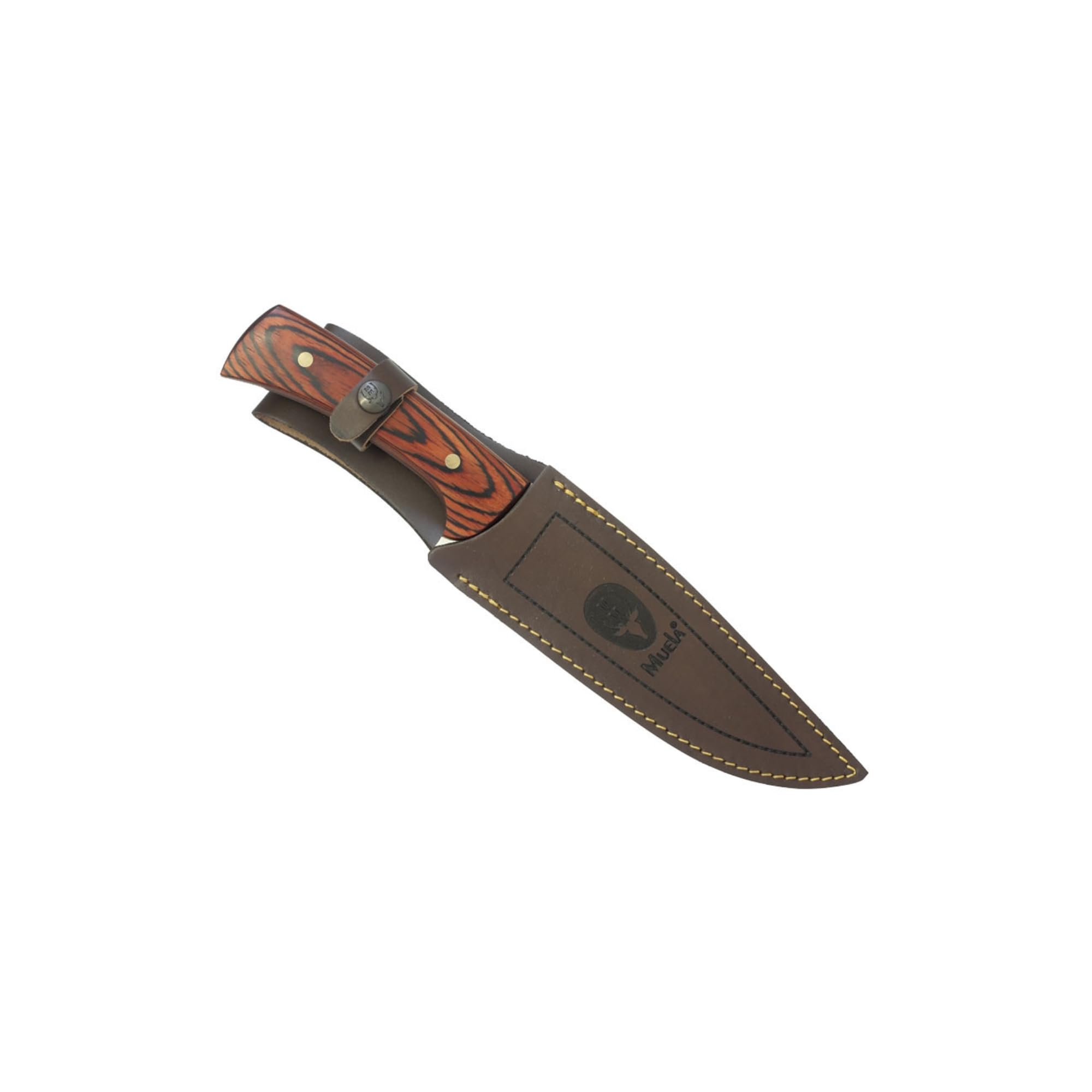 Muela JABALI-17 E Cuchillo Caza. Hoja fija 17cm. Acero MoVa y Mango de Madera Coral. Fabricado en España | Ideal para Caza, Montería, Rececho, Pesca,Supervivencia, Outdoor y Bushcraft | LO TRINCO YO