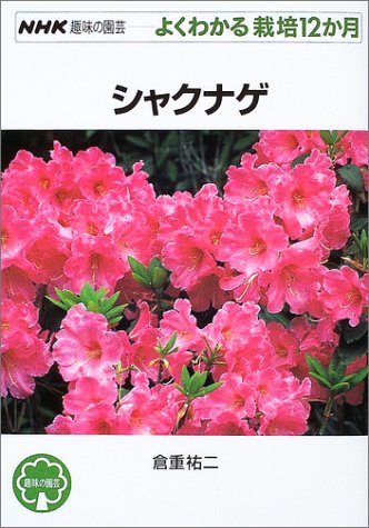 無料電子書籍 pdf シャクナゲ (NHK趣味の園芸 よくわかる栽培12か月) バイ