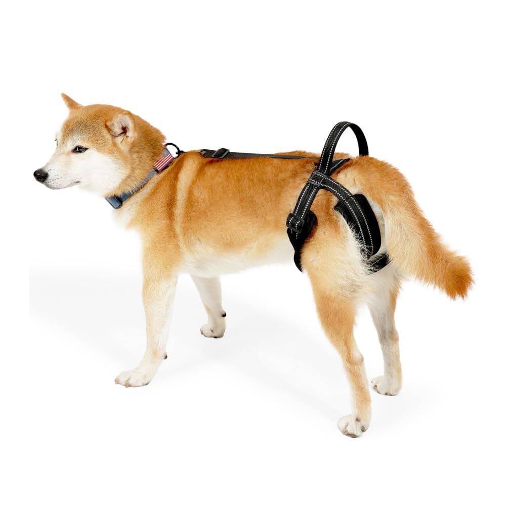 Imbracatura per Cani, Pettorina di Sollevamento per Cane Riflettente con Maniglia e Cinghie Regolabili, Supporto per Cani Anziani, Malati, Feriti, Disabili