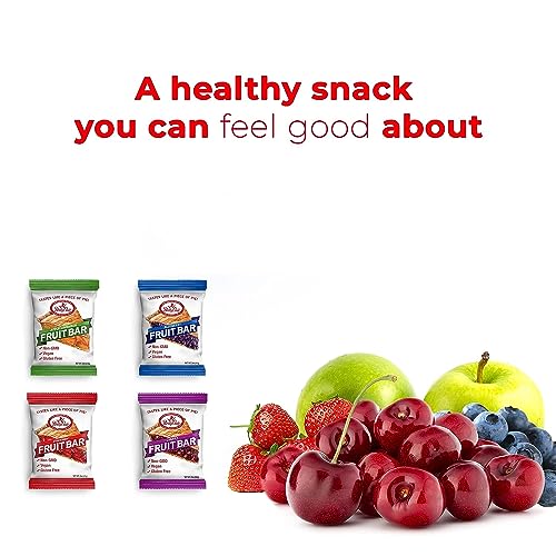 Kavasi Fruit Bars Variety Pack, 2 Oz. Each (12 Pack) - Apple Cinnamon, Blueberry, Strawberry, And Cherry - Gluten Free Snacks For Adults And Kids - 4 Flavors Of Vegan Breakfast & Cereal Bars thumb #4