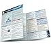 Corporate Finance: Reference Guide (Quickstudy)