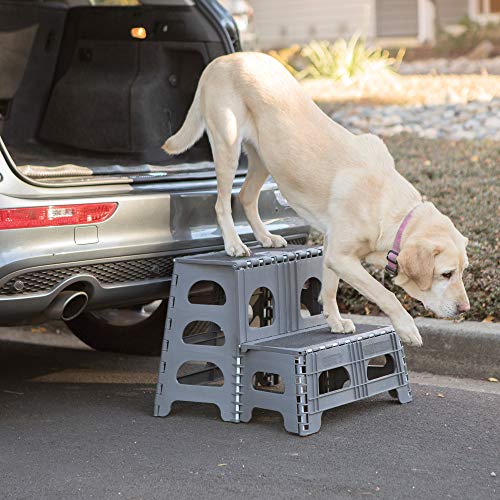 How to Help a Dog Get Into a Vehicle 3 Methods and Use of Ramps/Stairs