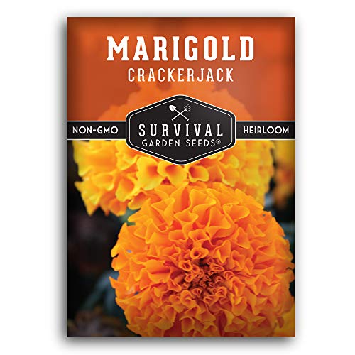 Survival Garden Seeds - Crackerjack Marigold Seed for...