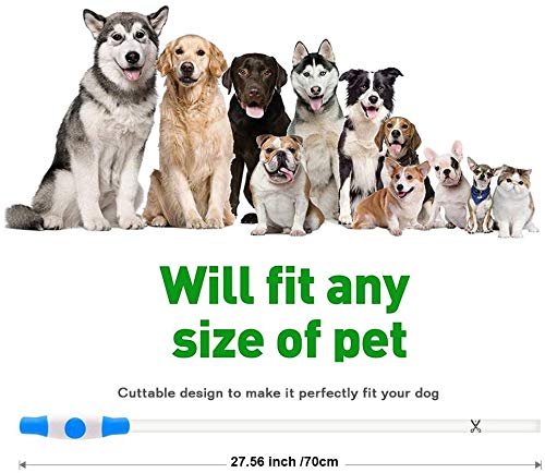 CCWW LED Leuchthalsband für Hunde USB Aufladbar LED Hundehalsband Stück hundehalsband Leuchtend Wiederaufladbares und Längenverstellbareres mit DREI Beleuchtungsmodi für Hunde und Katzen