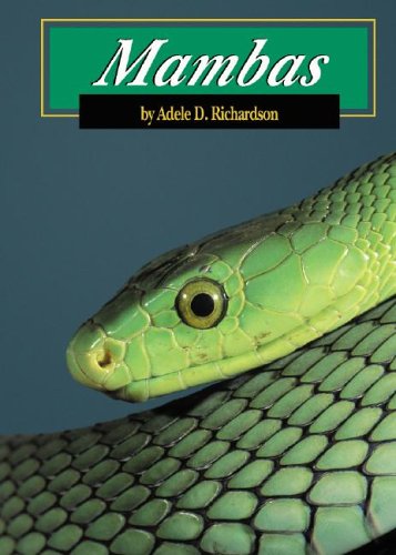 Mambas (Snakes)