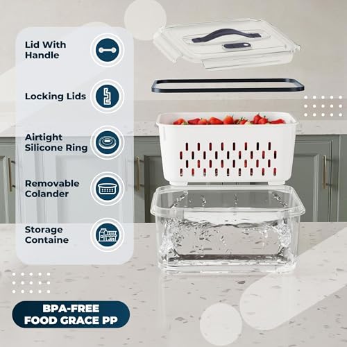 Image of The Better Home (Pack of 4 Food Containers | Storage Box for Fridge | Vegetable Fruit Boxes | Refrigerator Storage Box | Containers With Lid | Handheld Strainer Basket| Transparent