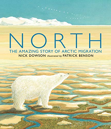 North: The Amazing Story of Arctic Migration (English Edition)