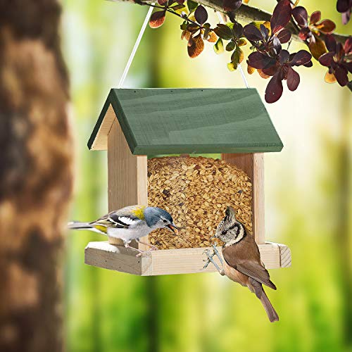 Paul´s Mühle Wildvogelfettfutter Premium Qualität 10 kg Beutel