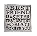 Produktbild Driftwood Treibholz Coasters-a Best Friend is A Sister.