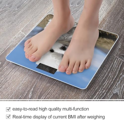 Báscula digital de baño para peso corporal 400 lb miniatura 5