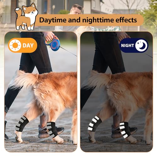 CUVZORA Hinterbeinbandage für Hunde 2 Einheiten mit Reflektierenden Riemen, Hundebandagen zur Wundheilung bei Verletzungen und Verstauchungen, für Leckschutz Hund Hinterbein Gelenktabletten,M