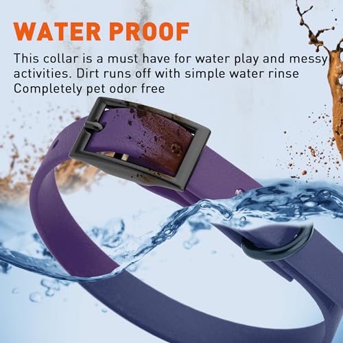 Image of Dogline Biothane Waterproof Dog Collar Strong Coated Nylon Webbing with Black Hardware Odor- Proof for Easy Care Easy to Clean High Performance Fits Small Medium or Large Dogs, Violet Purple