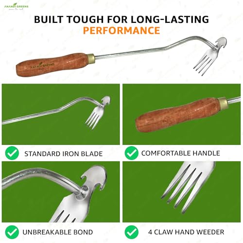 Image of Anandi Greens Garden Weeding Tool with Wooden Handle || Weeder Hand Tool 4 Claws Manual Weed Puller for Lawn and Garden Weed Removal Tool Steel