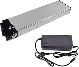 Lectric-compatible 48V Battery