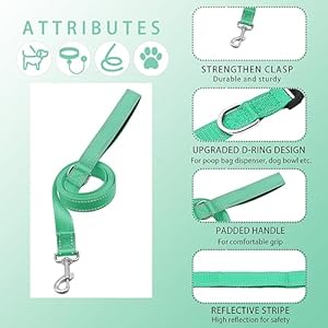   Reflective-Dog-Collar-with-Safety-Locking-Buckle-Adjustable-Soft-Breathable-Nylon-Collars-for-Small-Medium-and-Large-DogsCollarLeash-XS-Width-58-Turquoise
