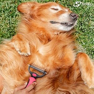 Sinko undercoat rake for dogs undercoat brush for dogs dog rake brush for shedding double coat dog brush undercoat brush for cats dog undercoat brush deshedding cat undercoat brush brush only   cucciolini doodles