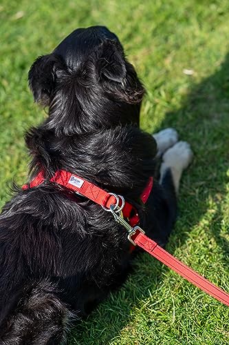 Gencon Walk-Through-Geschirr, XL, Schwarz