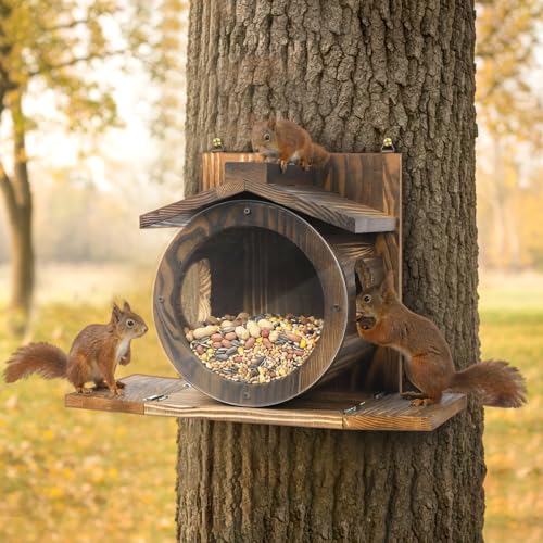 Eichhörnchen Futterhaus Eichhörnchen Futterstation aus Holz Wetterfestes Dach Kobel Eichhörnchen mit Runden Transparentes Fenster für Montage Bäumen Zäunen im Freien